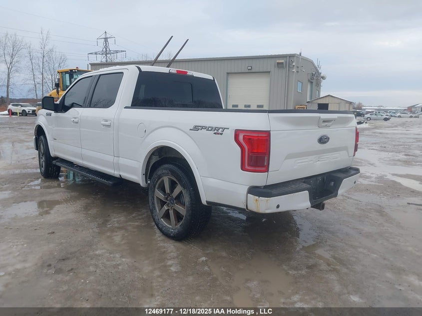 1FTFW1EGXHFC10344 2017 FORD F-150 photo no. 3