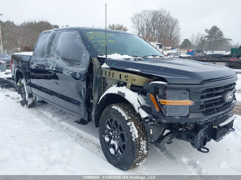 2025 Ford F-150 Xlt VIN: 1FTEW3LP7SKE72749 Lot: 12469204