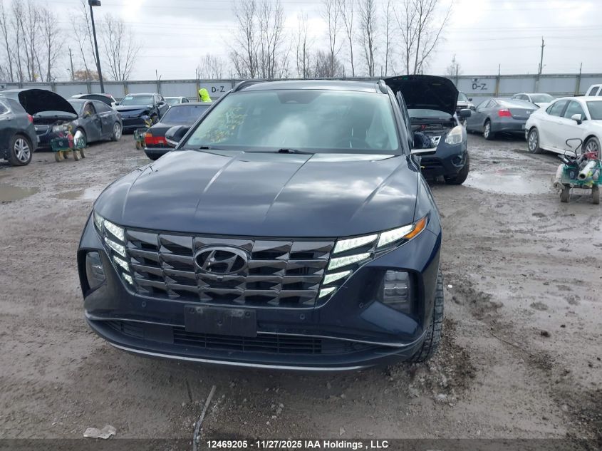 2024 Hyundai Tucson Hybrid VIN: KM8JCCD10RU167153 Lot: 12469205