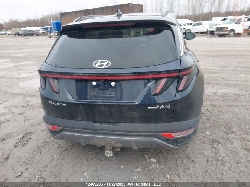 2024 Hyundai Tucson Hybrid VIN: KM8JCCD10RU167153 Lot: 12469205