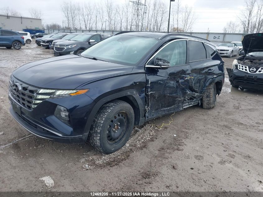 2024 Hyundai Tucson Hybrid VIN: KM8JCCD10RU167153 Lot: 12469205