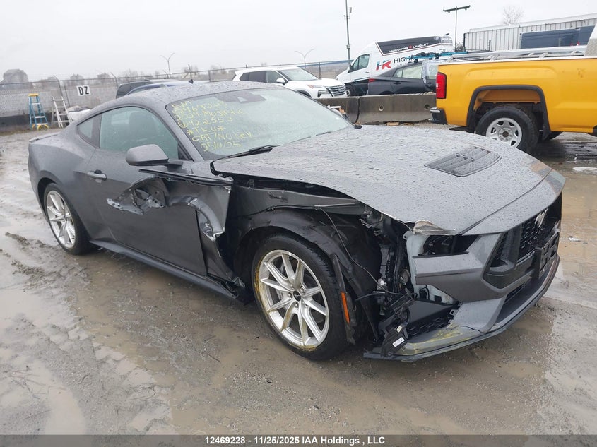 1FA6P8CF9R5422553 2024 Ford Mustang Gt auction photo 1