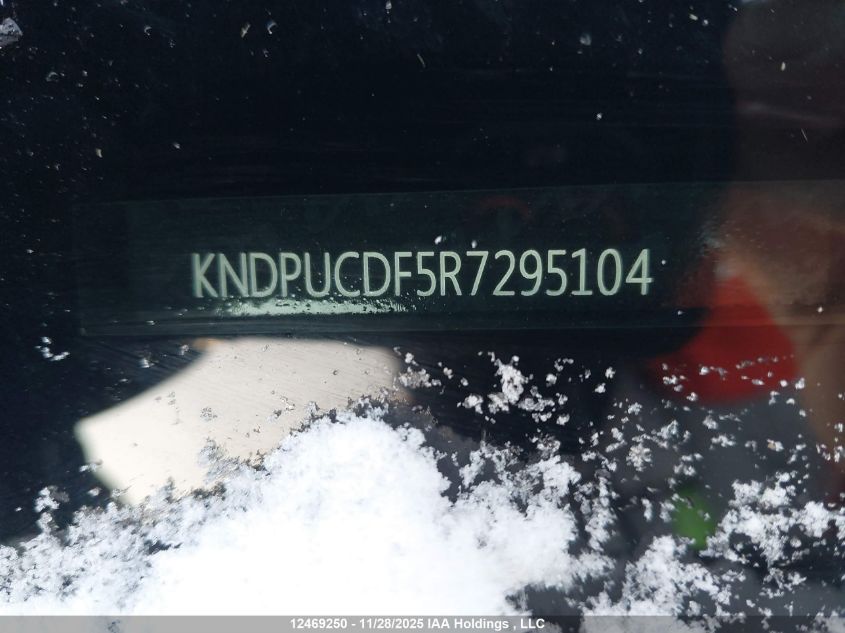 2024 Kia Sportage Lx/X-Line VIN: KNDPUCDF5R7295104 Lot: 12469250