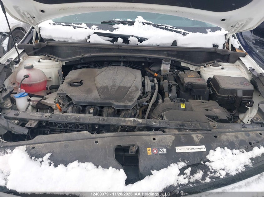KNDPUCDF8R7305656 2024 KIA SPORTAGE photo no. 10