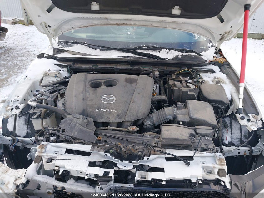 2019 Mazda Mazda3 Gs VIN: JM1BPALM5K1142463 Lot: 12469648