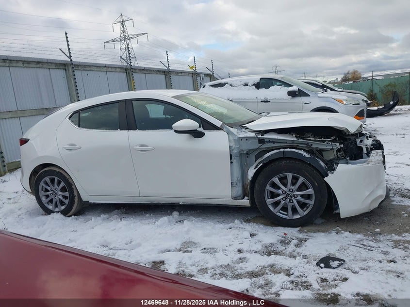 2019 Mazda Mazda3 Gs VIN: JM1BPALM5K1142463 Lot: 12469648