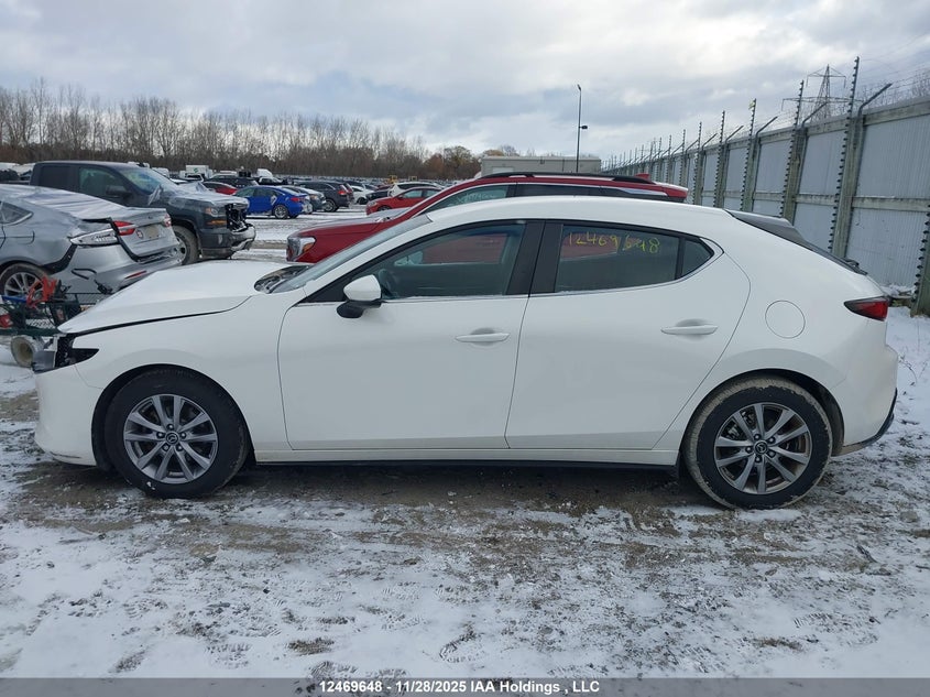 2019 Mazda Mazda3 Gs VIN: JM1BPALM5K1142463 Lot: 12469648