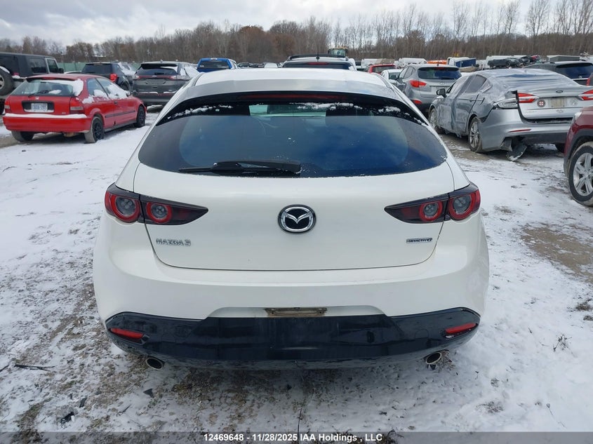 2019 Mazda Mazda3 Gs VIN: JM1BPALM5K1142463 Lot: 12469648