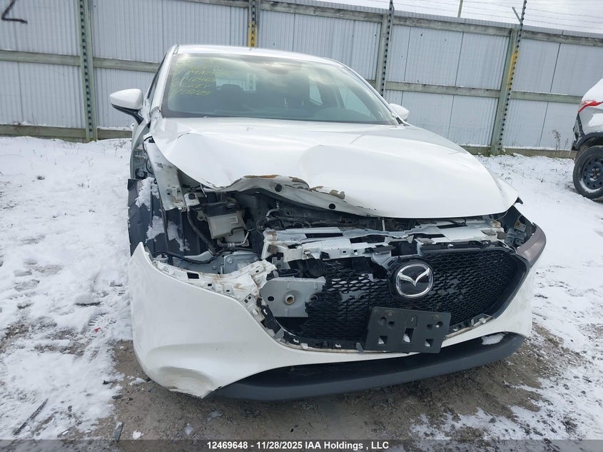 2019 Mazda Mazda3 Gs VIN: JM1BPALM5K1142463 Lot: 12469648