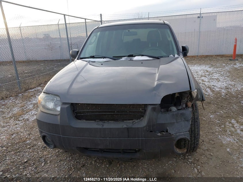 2006 Ford Escape Xlt VIN: 1FMYU03146KA10163 Lot: 12458213X