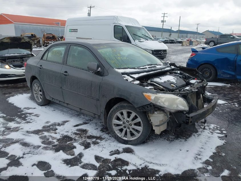 2010 Toyota Corolla VIN: 2T1BU4EEXAC319695 Lot: 12469775