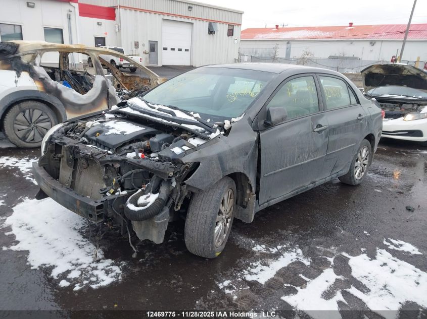 2010 Toyota Corolla VIN: 2T1BU4EEXAC319695 Lot: 12469775