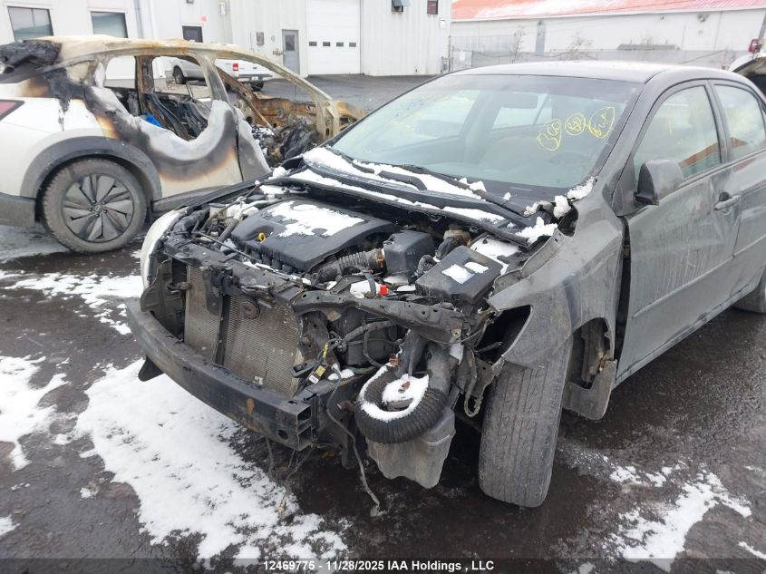 2010 Toyota Corolla VIN: 2T1BU4EEXAC319695 Lot: 12469775
