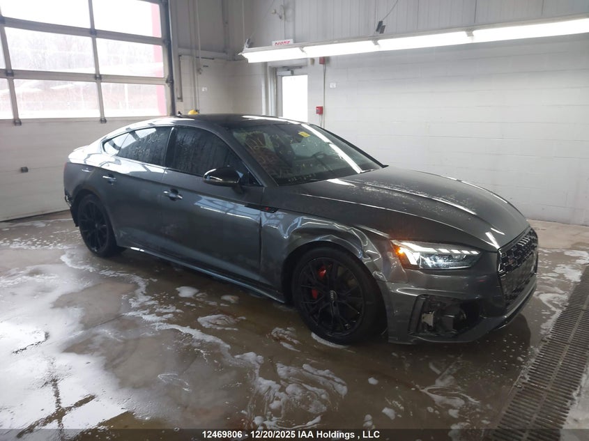 WAUA4CF51RA075503 2024 Audi S5 Premium auction photo 1