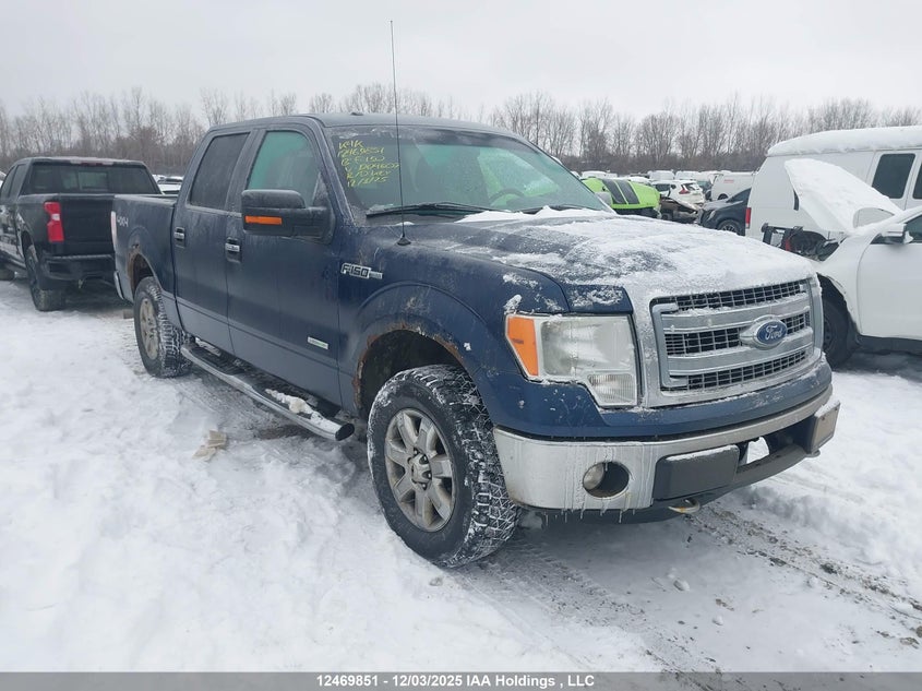 1FTFW1ET6DKD04607 2013 FORD F-150 photo no. 10