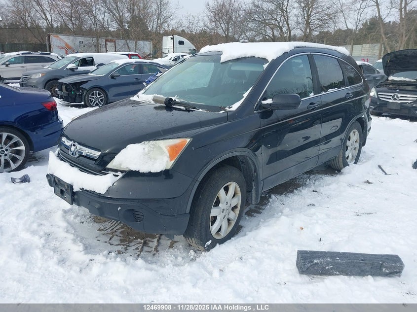 5J6RE48728L814592 2008 HONDA CR-V photo no. 3