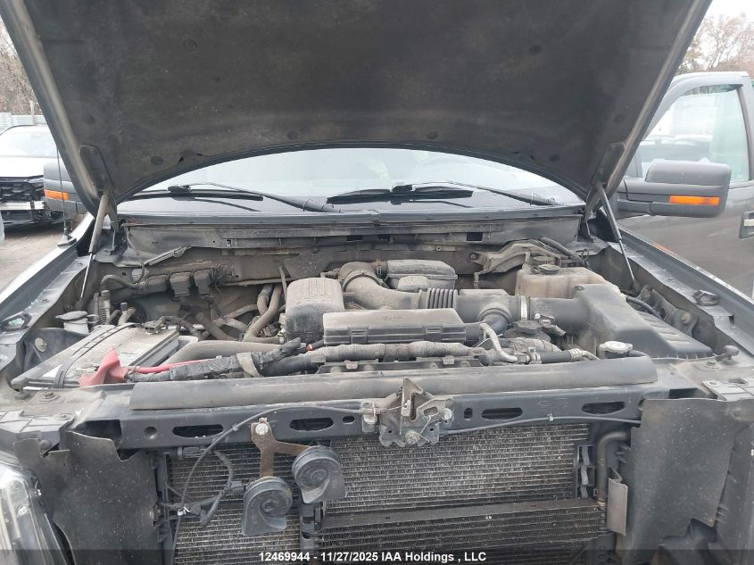 2010 Ford F150 Supercrew VIN: 1FTFW1EV6AFA53206 Lot: 12469944