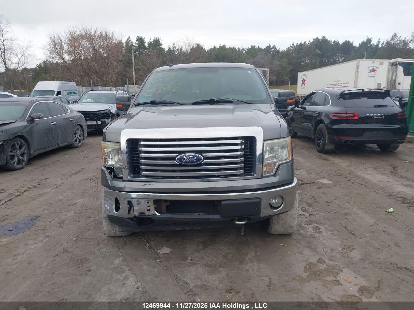 2010 Ford F150 Supercrew VIN: 1FTFW1EV6AFA53206 Lot: 12469944