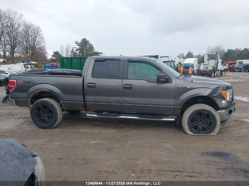 2010 Ford F150 Supercrew VIN: 1FTFW1EV6AFA53206 Lot: 12469944