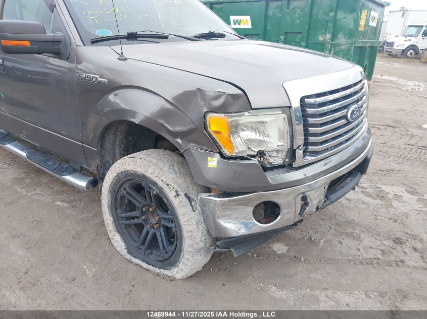 2010 Ford F150 Supercrew VIN: 1FTFW1EV6AFA53206 Lot: 12469944