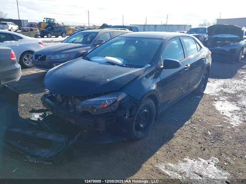 2019 Toyota Corolla, Front, IAAI, VIN 2T1BURHEXKC218750 — photo 2