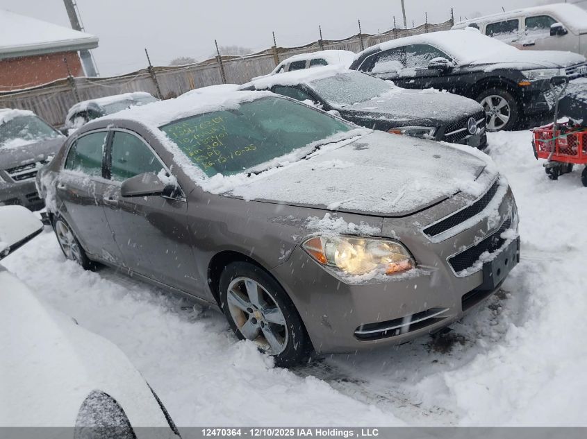 2010 Chevrolet Malibu 2Lt VIN: 1G1ZD5E03AF138401 Lot: 12470364
