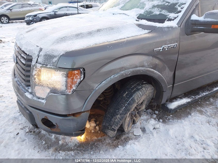 1FTFX1CF5CFC42814 2012 FORD F-150 photo no. 6