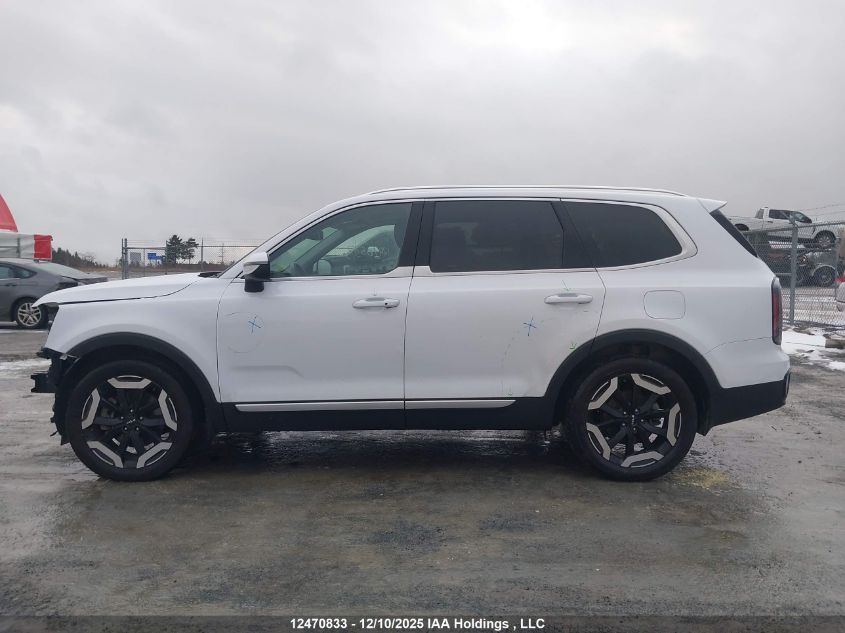 2024 Kia Telluride Ex VIN: 5XYP3DGC0RG421611 Lot: 12470833