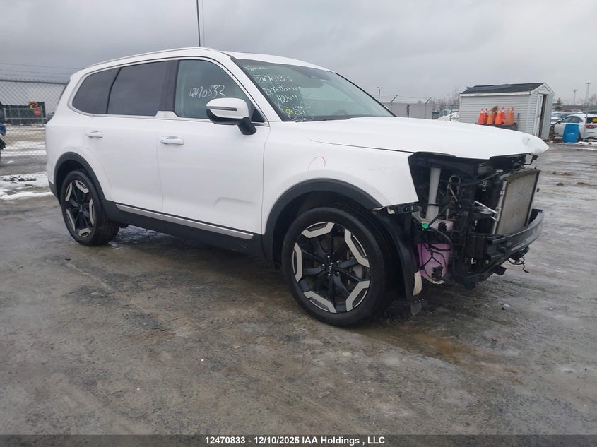 5XYP3DGC0RG421611 2024 KIA TELLURIDE photo no. 13