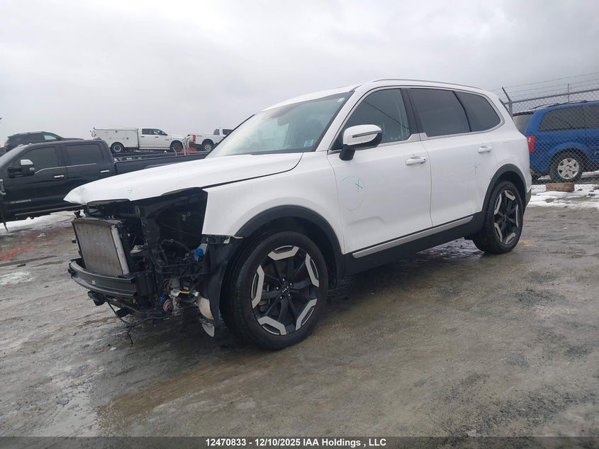 5XYP3DGC0RG421611 2024 KIA TELLURIDE photo no. 2