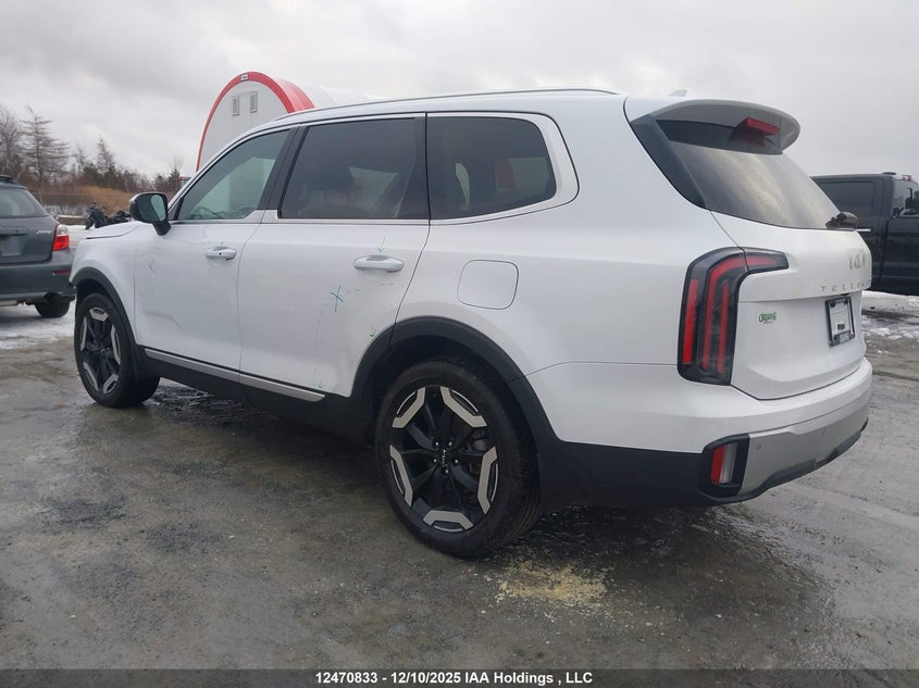 5XYP3DGC0RG421611 2024 KIA TELLURIDE photo no. 3