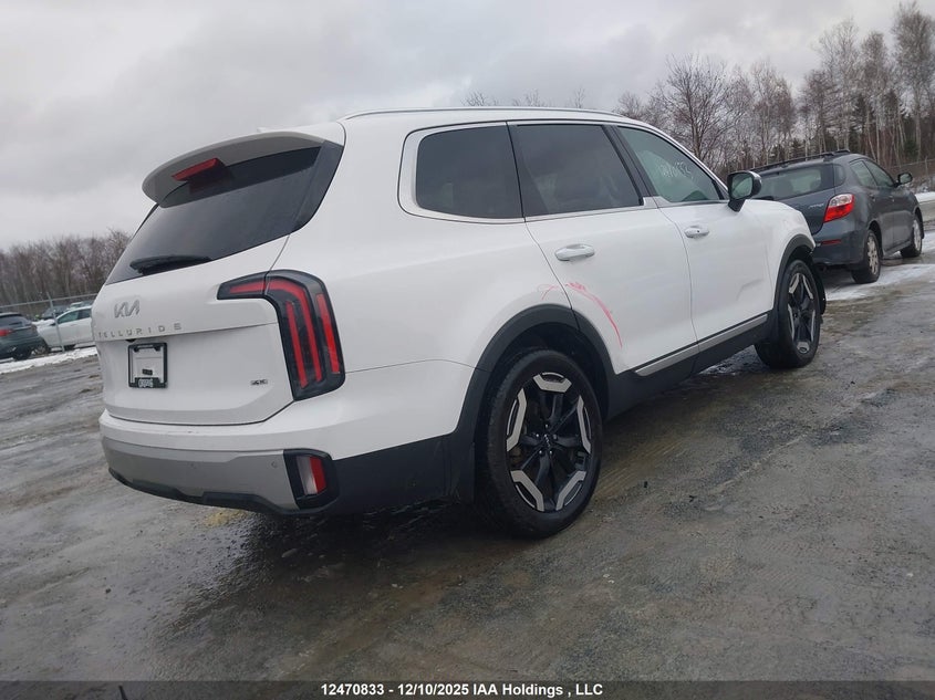 5XYP3DGC0RG421611 2024 KIA TELLURIDE photo no. 4