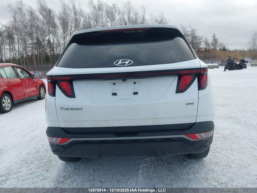 KM8JBCDE2RU340368 2024 HYUNDAI TUCSON photo no. 17