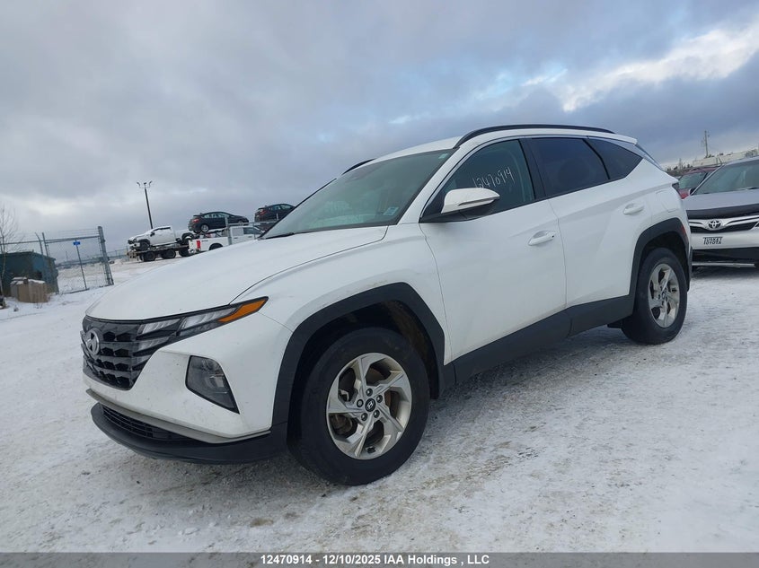 KM8JBCDE2RU340368 2024 HYUNDAI TUCSON photo no. 2