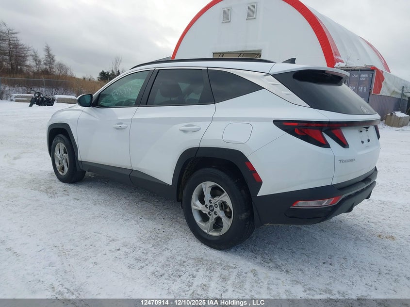 KM8JBCDE2RU340368 2024 HYUNDAI TUCSON photo no. 3