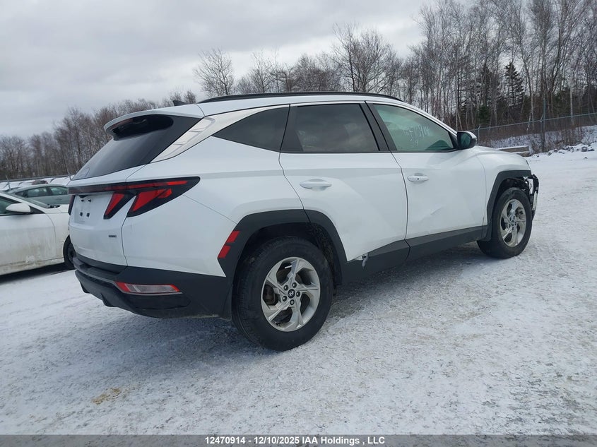 KM8JBCDE2RU340368 2024 HYUNDAI TUCSON photo no. 4