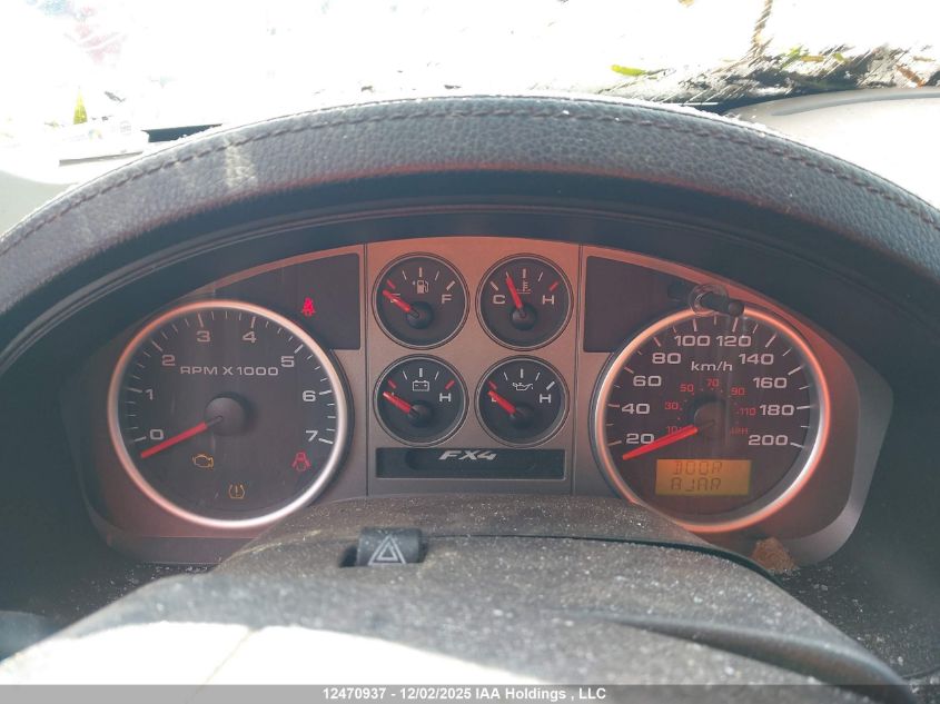 2008 Ford F-150 Fx4/King Ranch/Lariat/Xlt VIN: 1FTPW14V48FA47307 Lot: 12470937