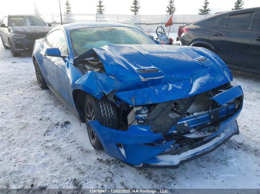 1FA6P8TH1K5193647 2019 Ford Mustang Ecoboost Premium auction photo 1