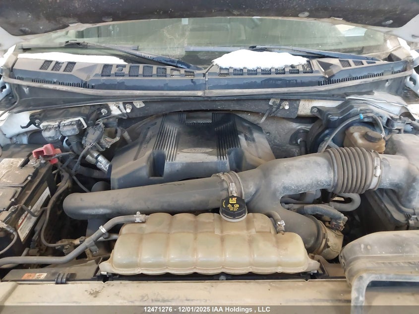 1FTFW1E4XKKD19178 2019 FORD F-150 photo no. 10