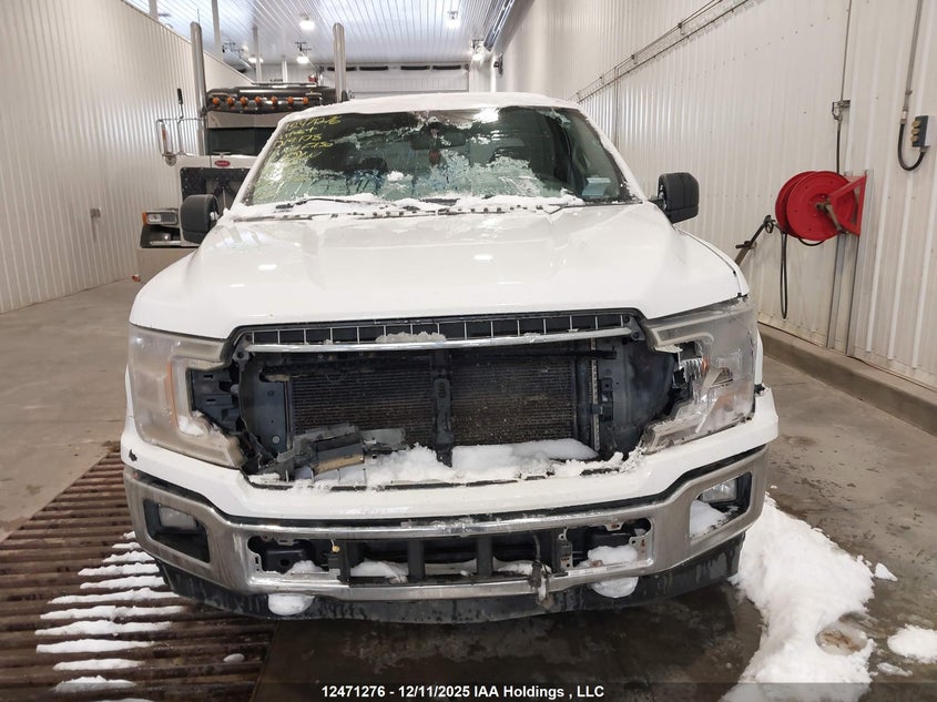 1FTFW1E4XKKD19178 2019 FORD F-150 photo no. 12