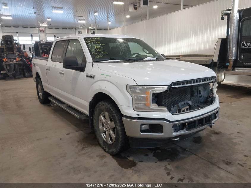 1FTFW1E4XKKD19178 2019 FORD F-150 photo no. 16