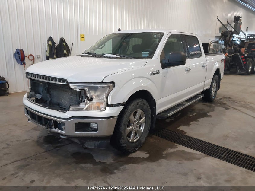 1FTFW1E4XKKD19178 2019 FORD F-150 photo no. 17