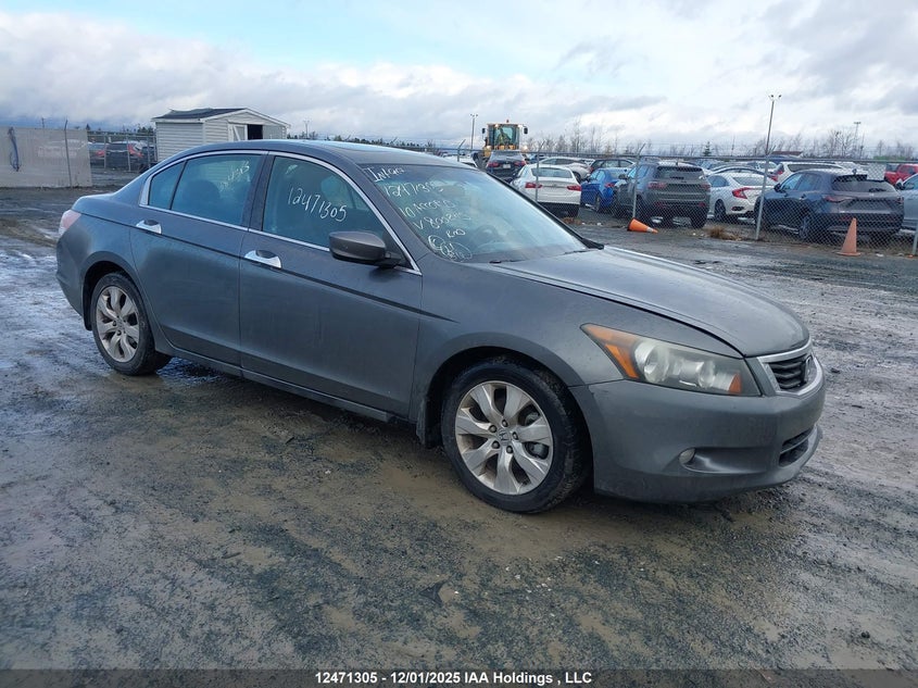 1HGCP3F81AA800245 2010 HONDA ACCORD photo no. 6