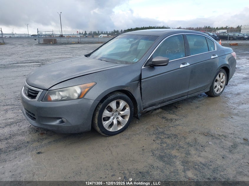 1HGCP3F81AA800245 2010 HONDA ACCORD photo no. 2
