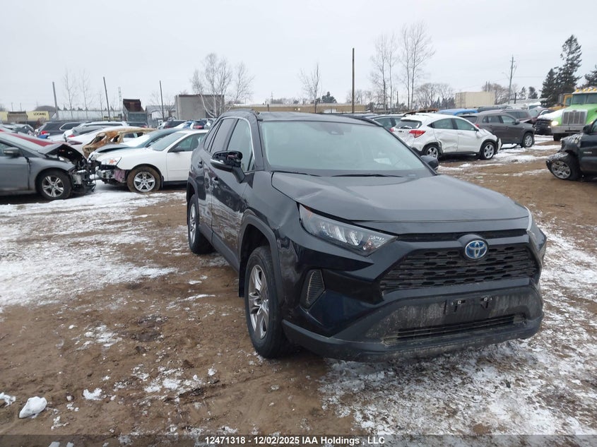 2T3BWRFV5RW215588 2024 Toyota Rav4 auction photo 1