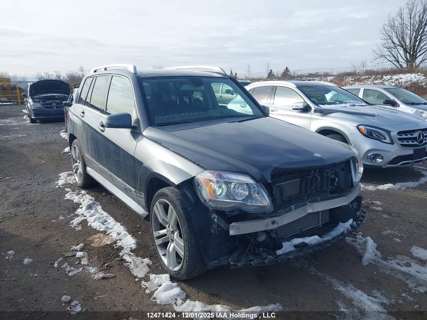 WDCGG8HBXAF518401 2010 MERCEDES-BENZ GLK-KLASSE photo no. 12