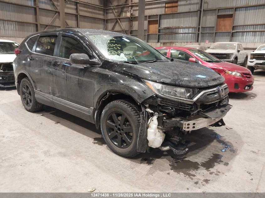 2HKRW2H28LH213650 2020 Honda Cr-V Lx auction photo 1