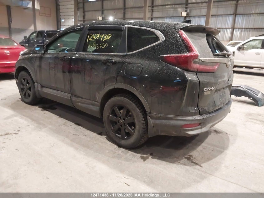 2HKRW2H28LH213650 2020 HONDA CR-V photo no. 3