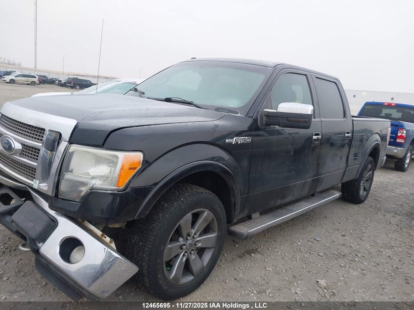 2011 Ford F-150 Lariat VIN: 1FTFW1EF3BFC67970 Lot: 12465695X