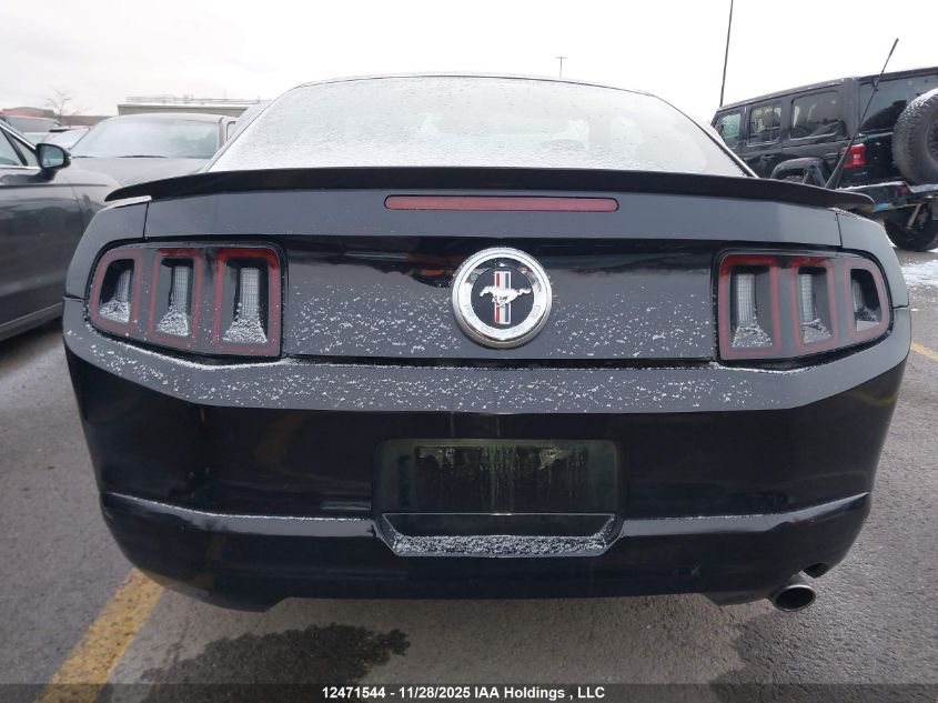 2010 Ford Mustang V6/Value Leader VIN: 1ZVBP8AN5A5128829 Lot: 12471544